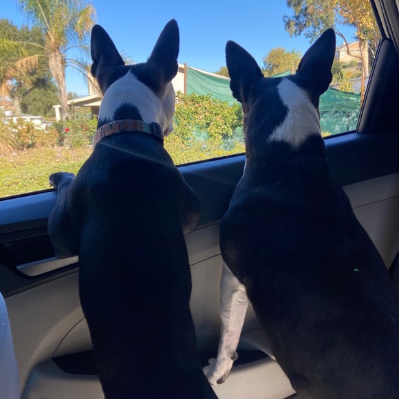 Meet your Posher, Ashley - Picture 2 of 2